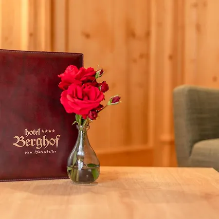 贝格霍夫酒店 酒店 施图拜河谷新施蒂夫特