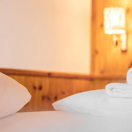 酒店 贝格霍夫酒店 施图拜河谷新施蒂夫特